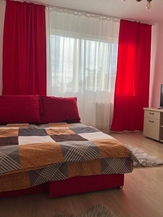 Apart Uta 2 Appartement Arad Buitenkant foto